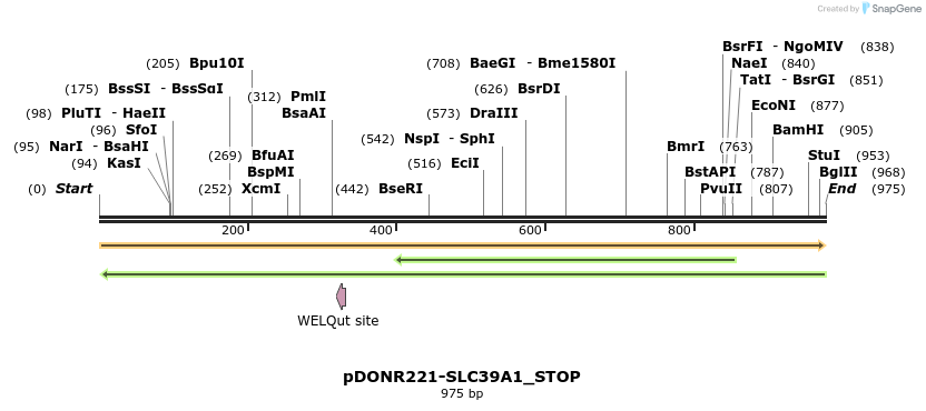 312383_map