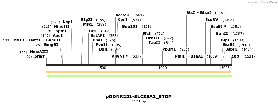 312385_map