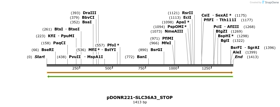 312387_map