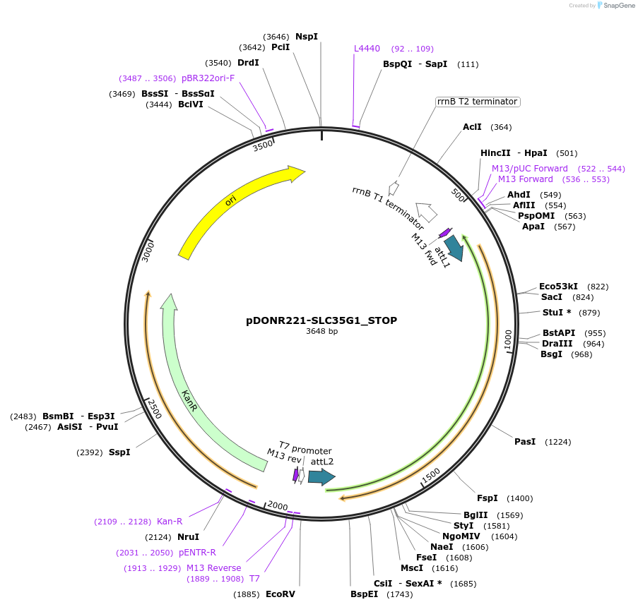 312388_map