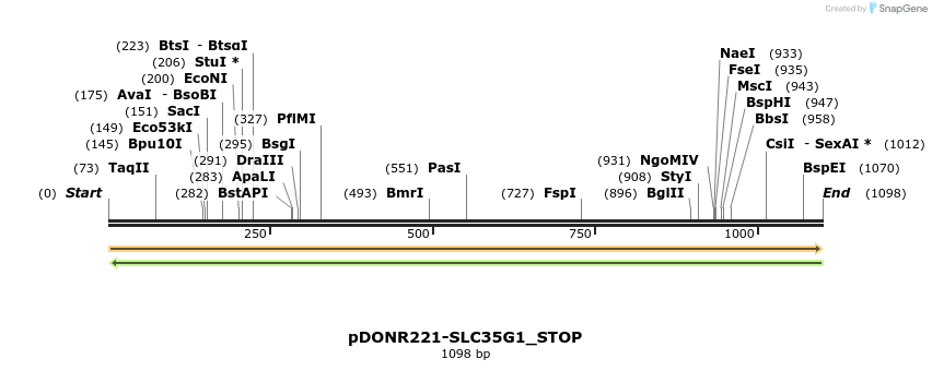 312389_map