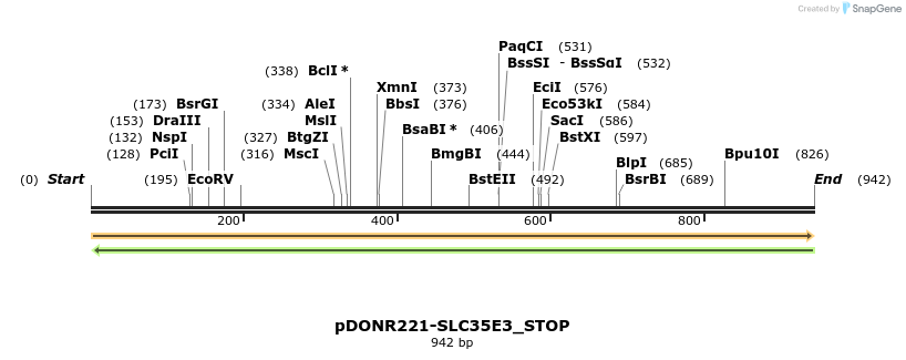 312391_map