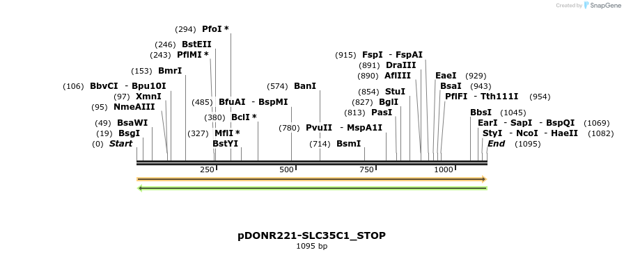 312393_map