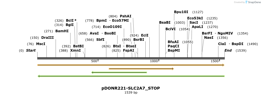 312399_map