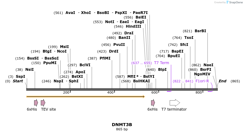31240_map