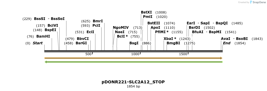 312401_map