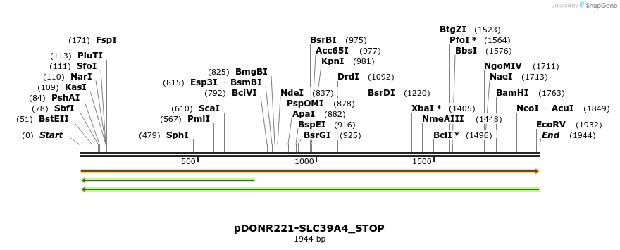 312405_map