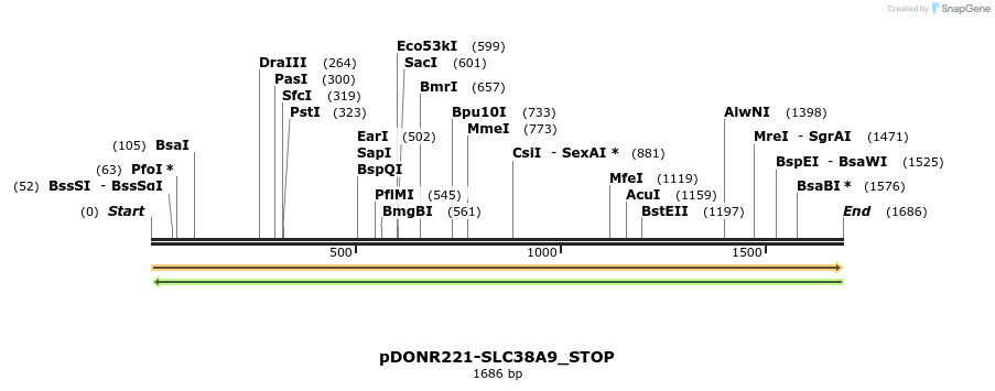 312407_map