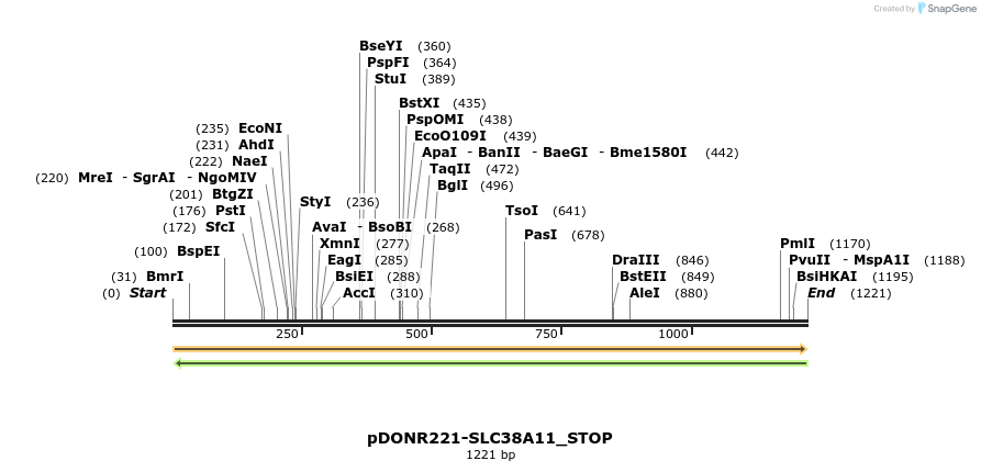 312409_map