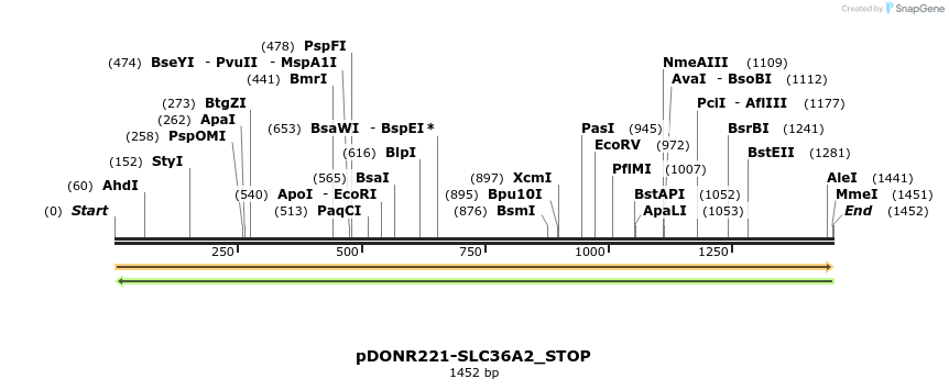 312411_map