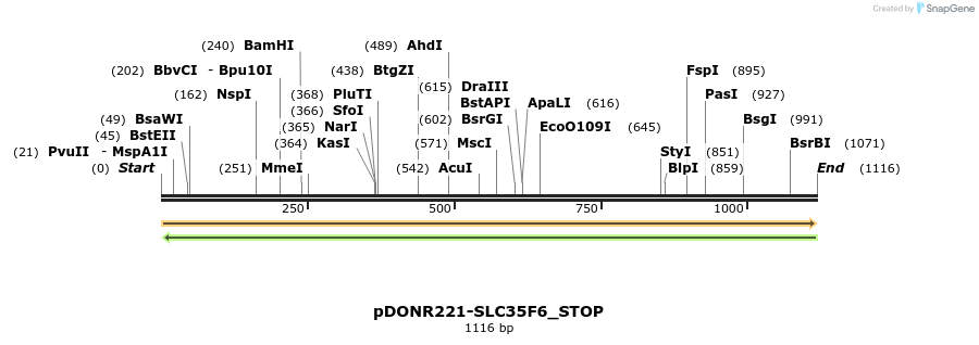 312413_map