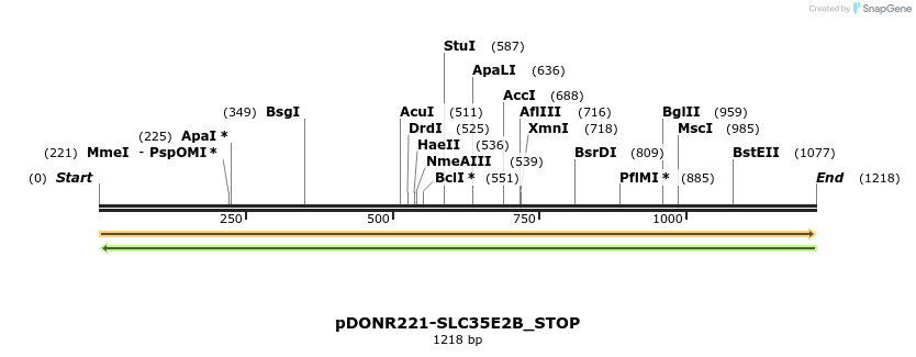 312415_map