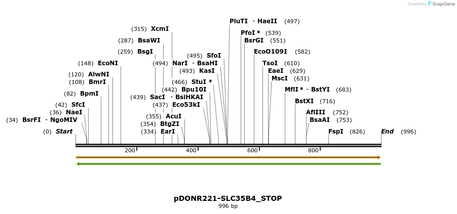 312417_map