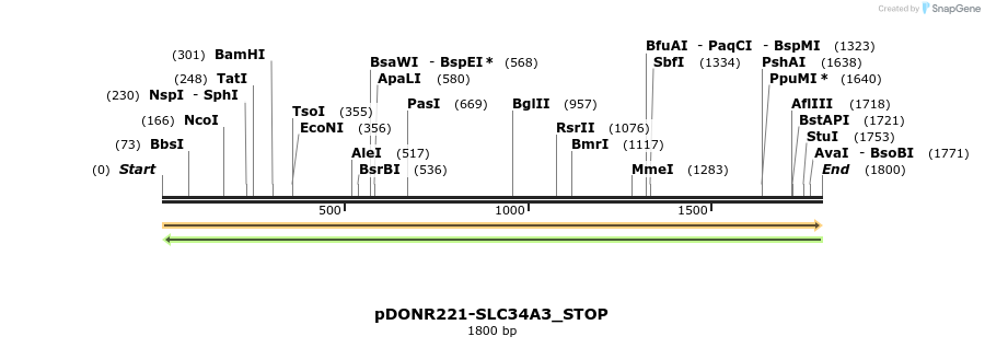 312419_map