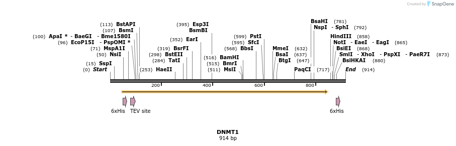 31242_map