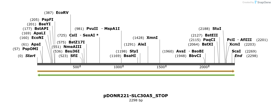 312421_map