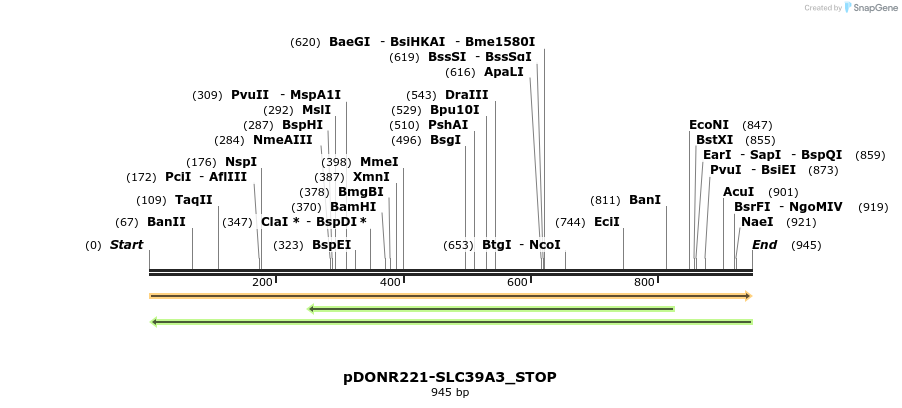 312429_map