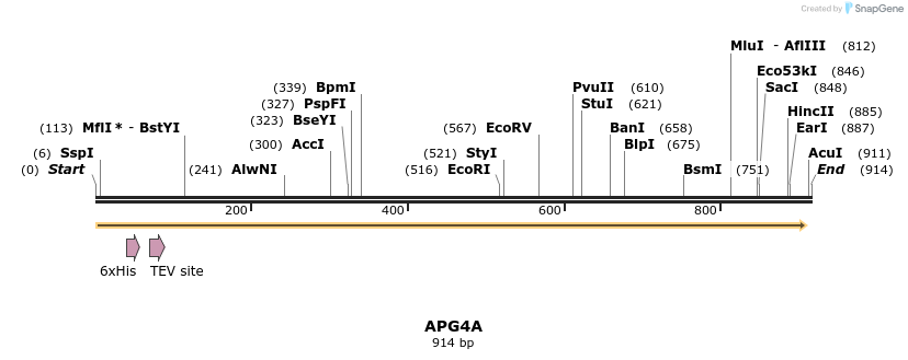31243_map