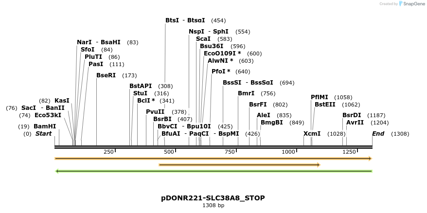 312431_map