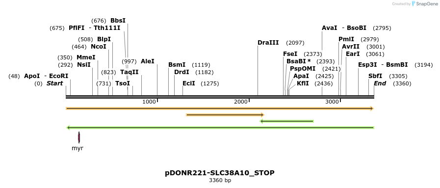 312433_map