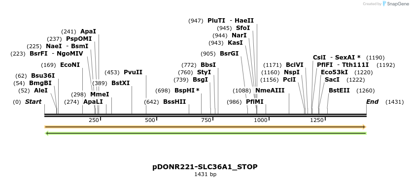 312435_map