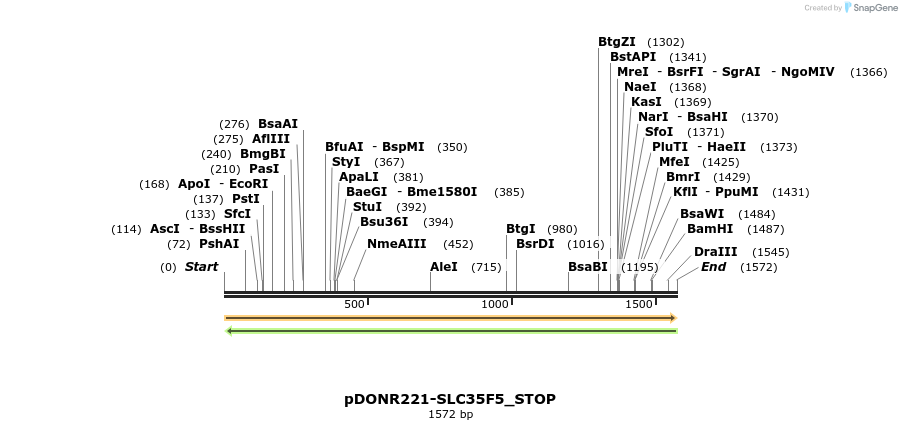 312437_map