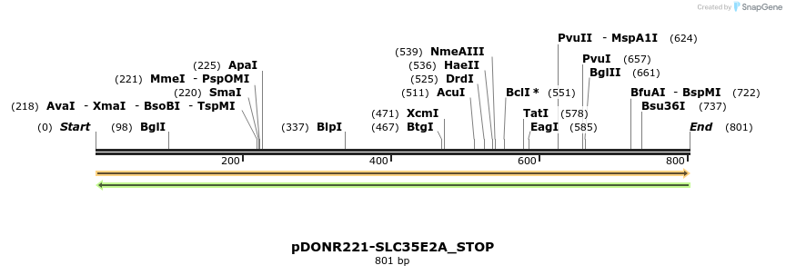 312439_map
