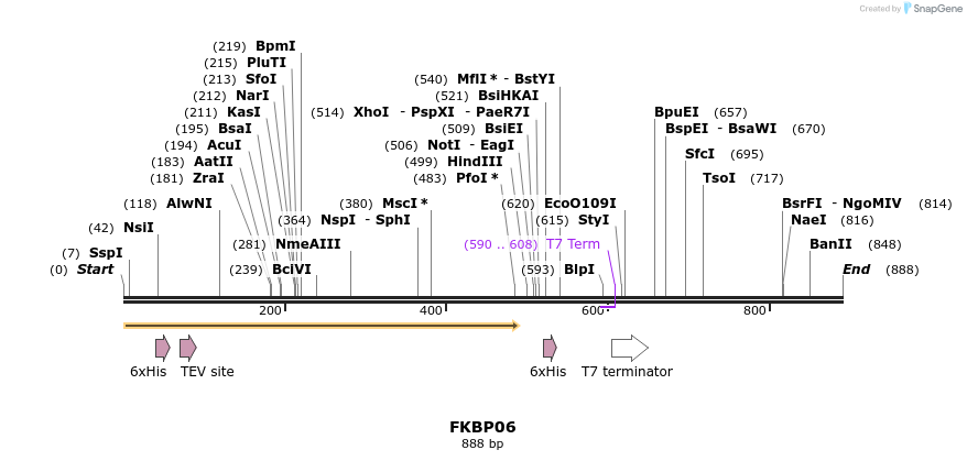 31244_map