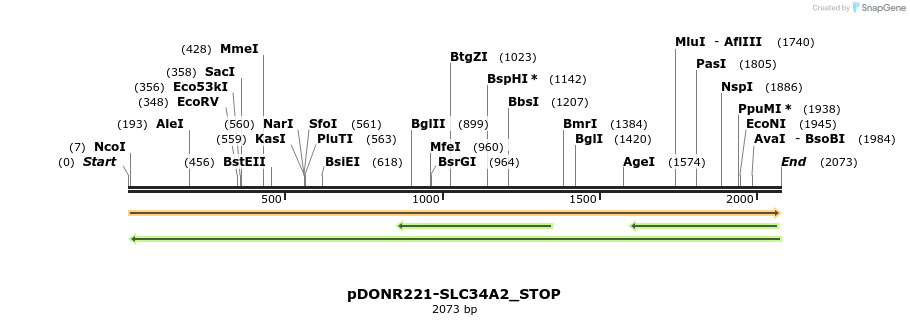312443_map