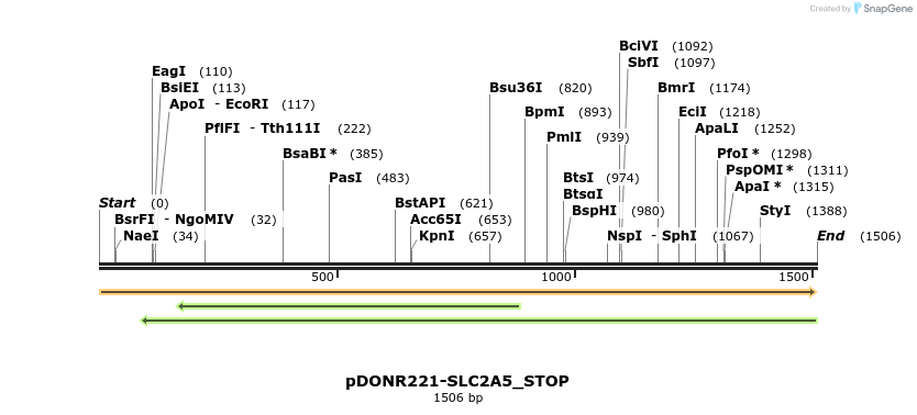 312447_map