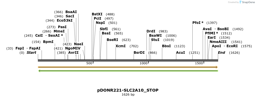 312449_map