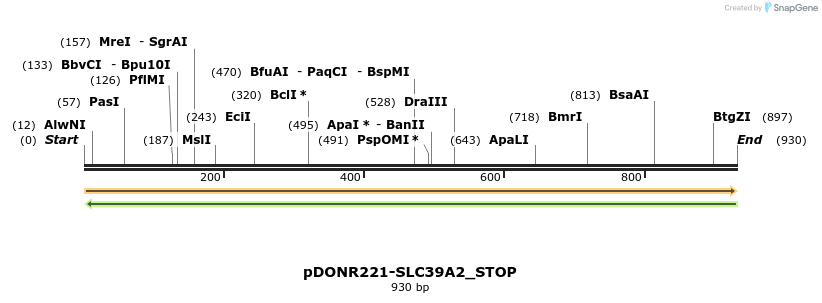 312453_map