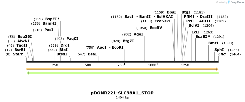 312457_map