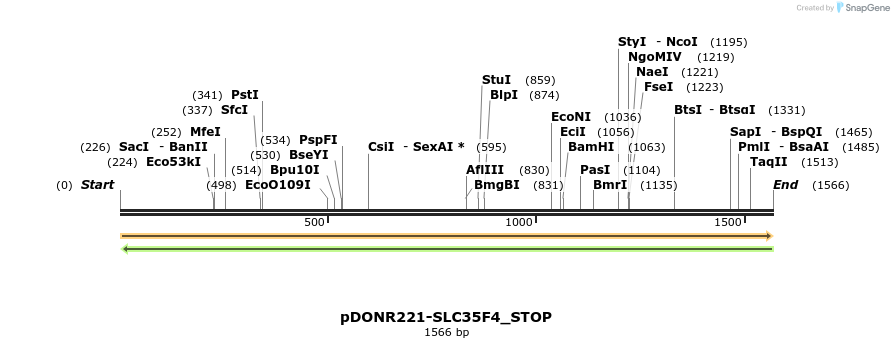 312461_map