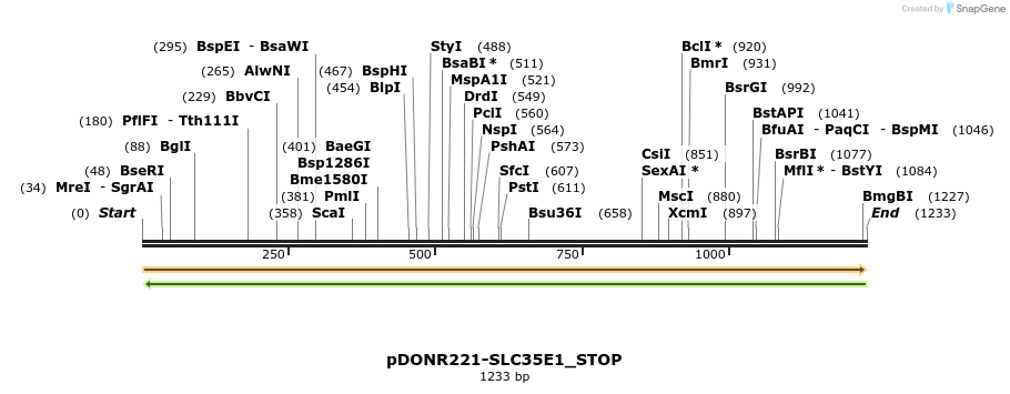 312463_map