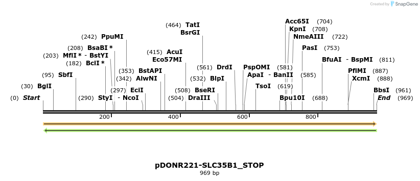 312465_map