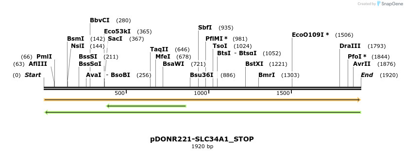 312467_map