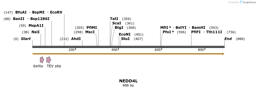 31247_map