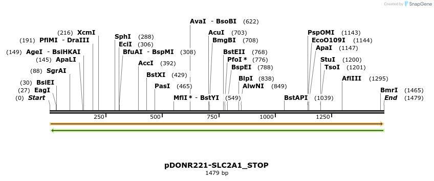 312473_map