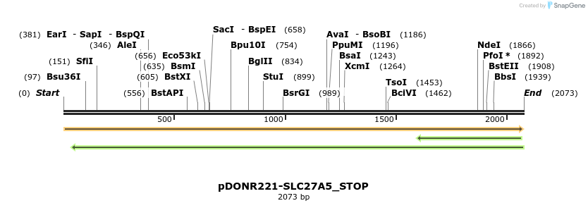 312475_map