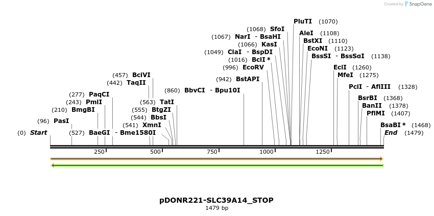 312477_map
