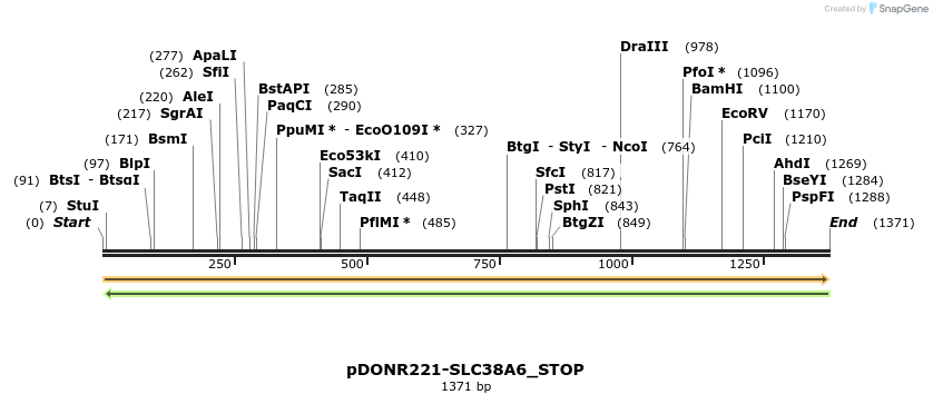 312479_map