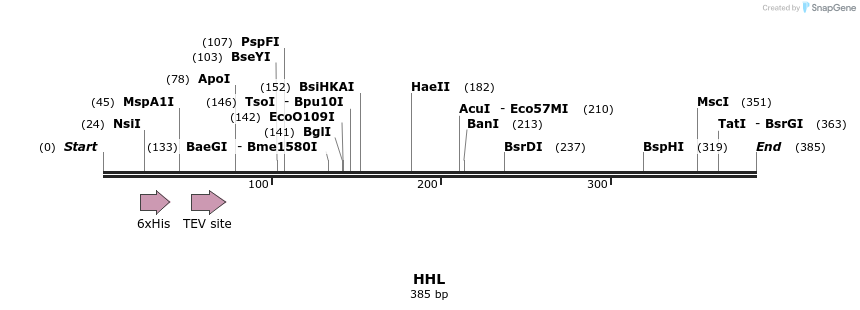 31248_map