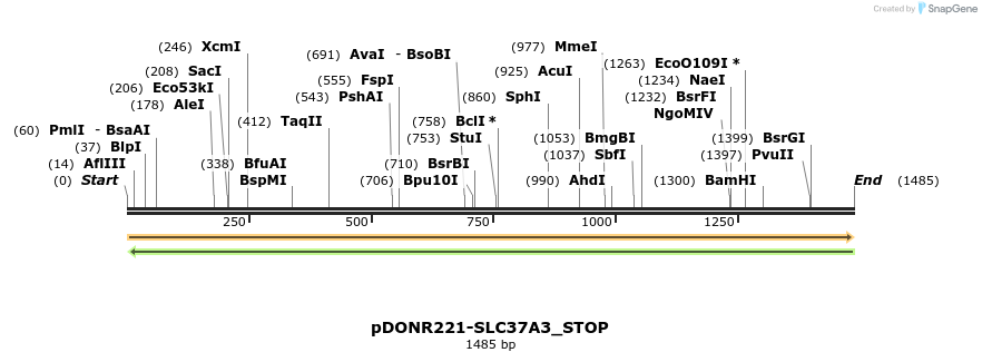 312481_map
