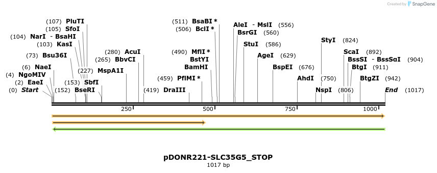 312483_map