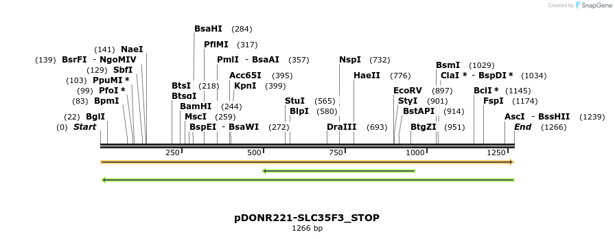 312485_map