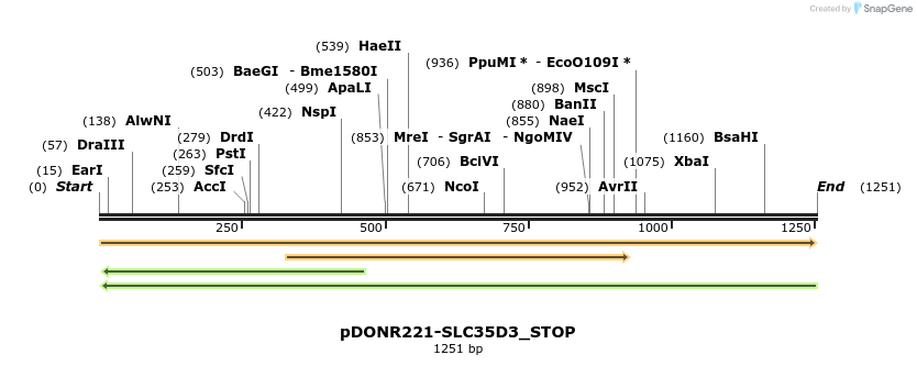 312487_map