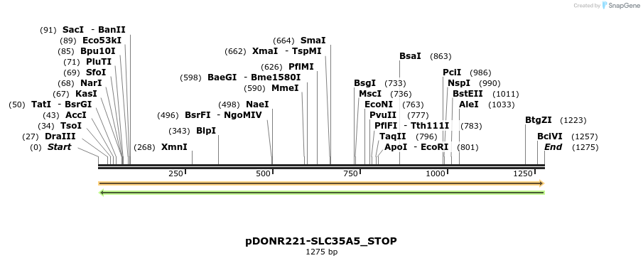 312489_map