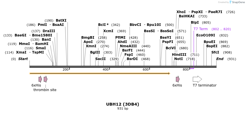 31249_map