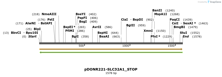 312491_map